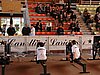 P1010013.jpg