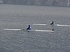 P1070033.jpg
