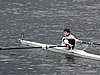 P1070047.jpg