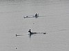 P1110020.jpg