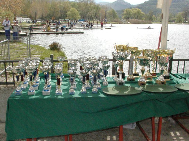 P1143553.jpg