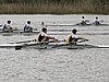 P1143554.jpg