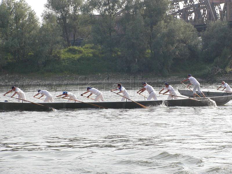 P1010096.jpg