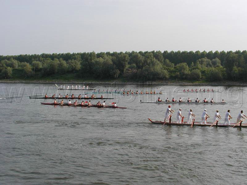P1010111.jpg