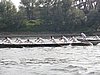 P1010096.jpg