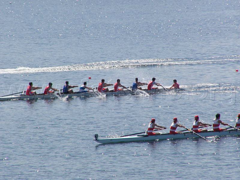 P1010021.jpg
