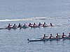 P1010021.jpg