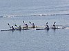 P1010031.jpg
