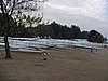 P1020003.jpg