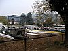 P1020001.jpg