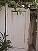 P1080082.jpg