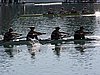 P1010028.jpg