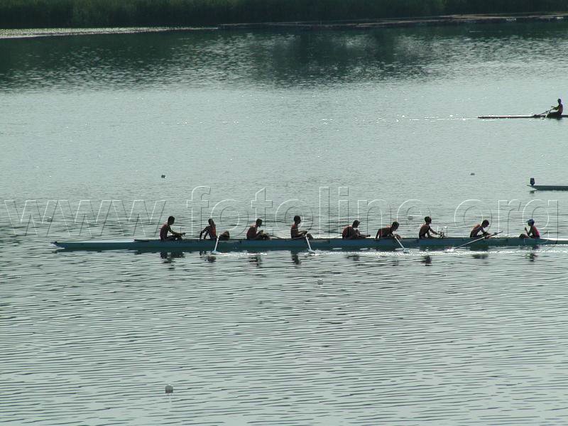P6224557.jpg
