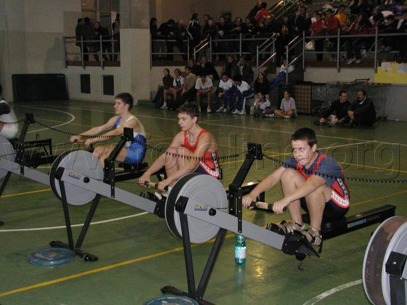 P1010074.jpg