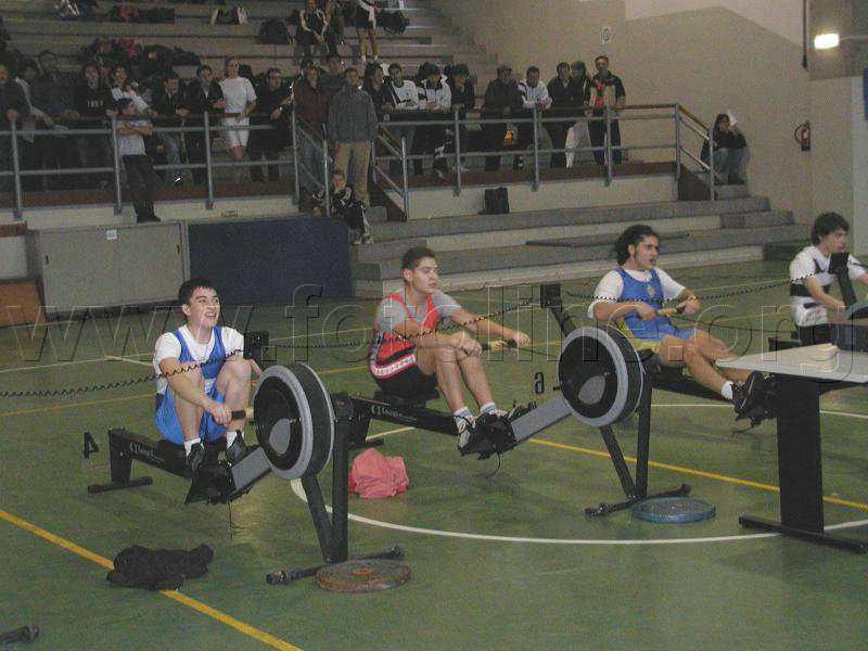 P1010079.jpg