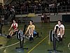 P1010081.jpg