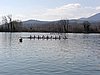P1080042.jpg