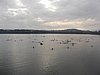 P1010022.jpg