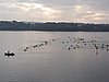 P1010029.jpg