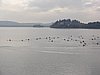 P1010032.jpg