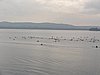 P1010033.jpg