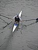 P1130044.jpg