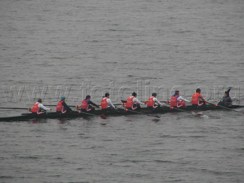 P1130070.jpg