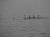 P1130050.jpg
