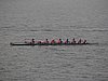 P1130053.jpg