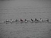 P1130077.jpg