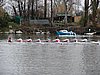 P1090054.jpg