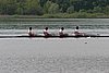 135_3506.jpg