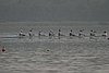 239_3920.jpg