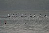 239_3921.jpg