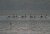 239_3922.jpg