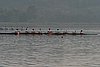 239_3927.jpg