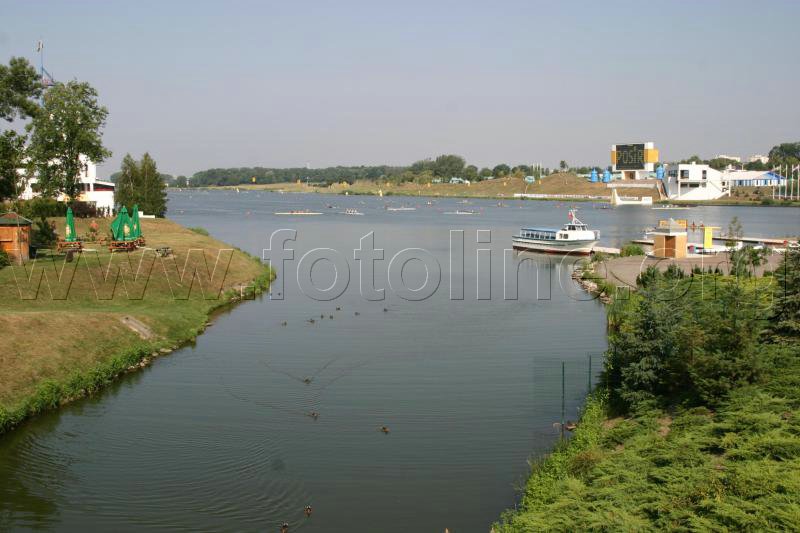 194_9451.jpg