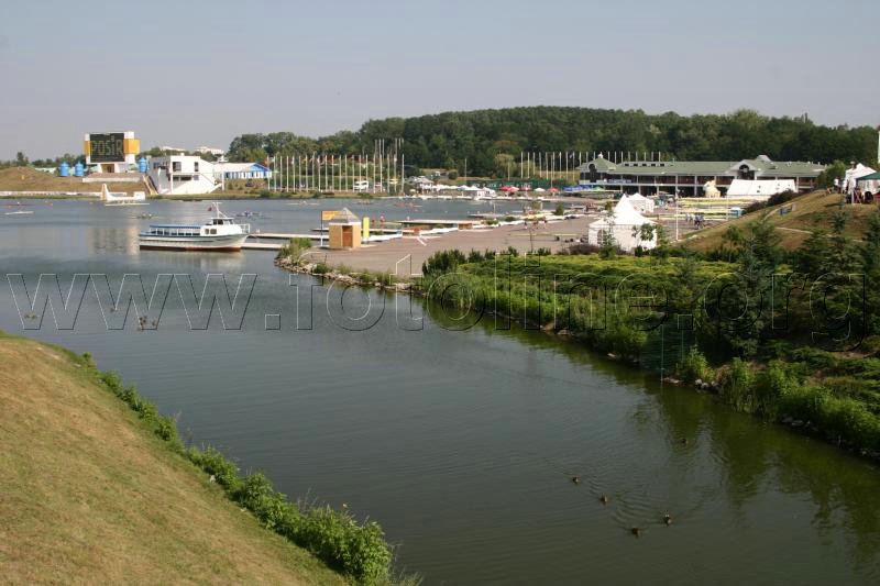 194_9452.jpg