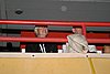 195_9561.jpg