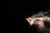 195_9586.jpg