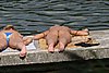 209_0954.jpg