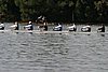 272_7232.jpg