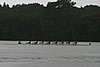 272_7282.jpg