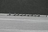 273_7302.jpg