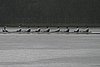 273_7303.jpg
