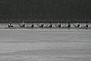 273_7306.jpg