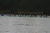 273_7312.jpg