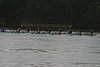 273_7313.jpg