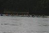 273_7314.jpg