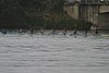 273_7315.jpg